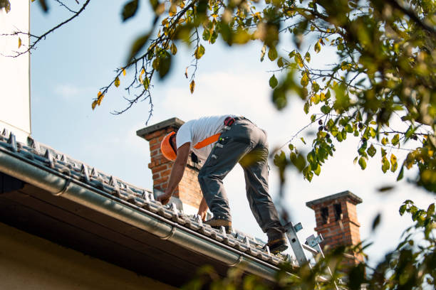 Best Roof Coating and Sealing  in Mentor On The Lake, OH
