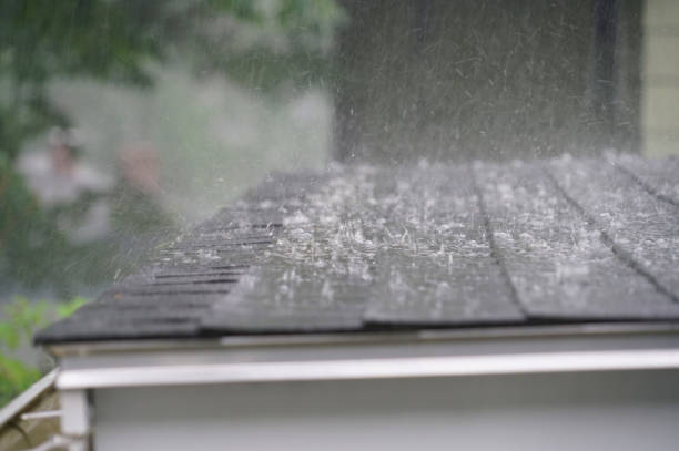 Best Gutter Installation and Repair  in Mentor On The Lake, OH