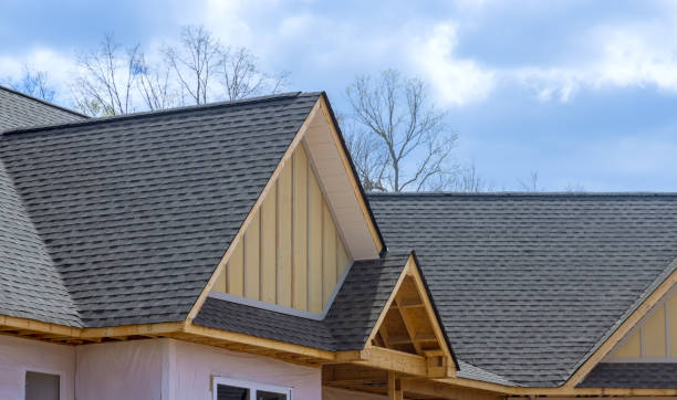 Best Roof Maintenance and Cleaning  in Mentor On The Lake, OH