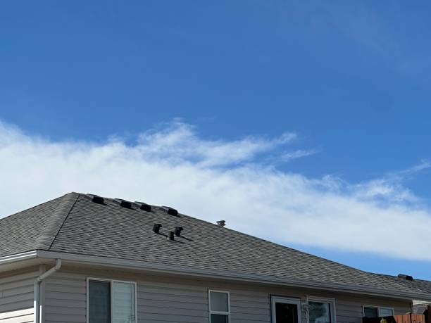 Best Gutter Installation and Repair  in Mentor On The Lake, OH